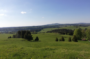 Weitläufige Landschaft mit Grünland und kleinen Waldstücken.